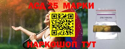 молекула духа Кулебаки