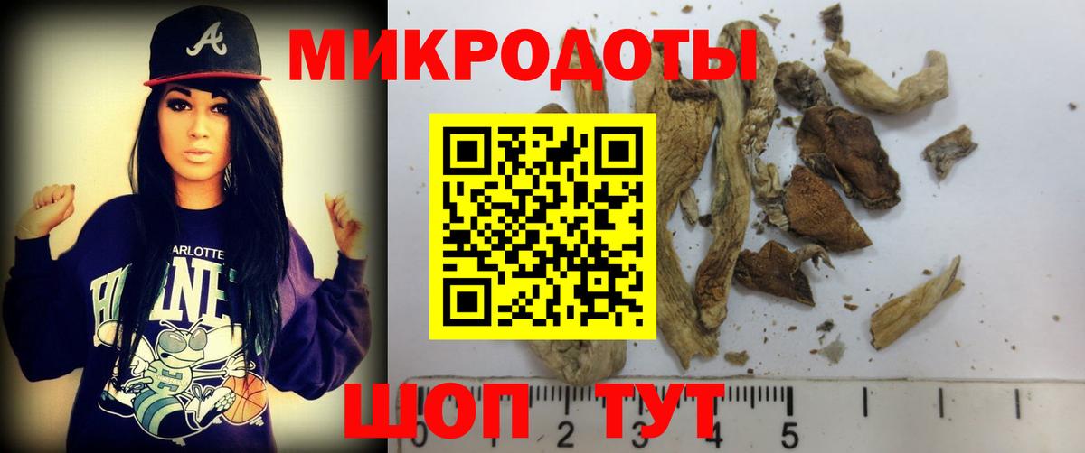 Псилоцибиновые грибы Psilocybine cubensis  Вход с VPN  Джанкой 